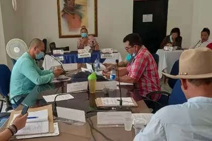 La iniciativa es de la diputada Quirife y la coautoría de Mercedes Rincón
