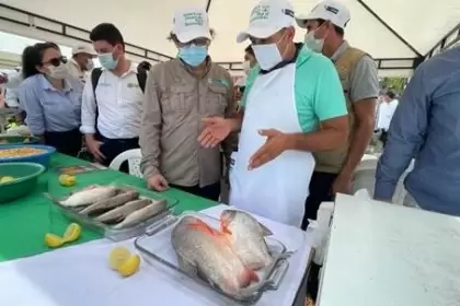 Directivos y representantes de entidades del orden nacional han sido partícipes del avance de los proyectos productivos, en el departamento de Arauca.