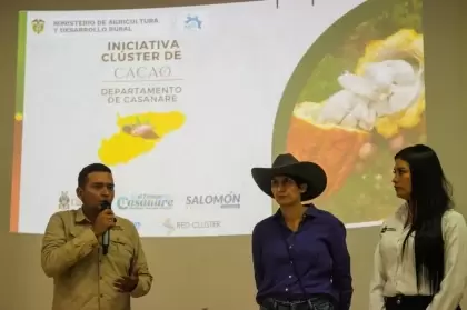 Cacao: Se consolida  iniciativa de Clúster de Cacao para Casanare.