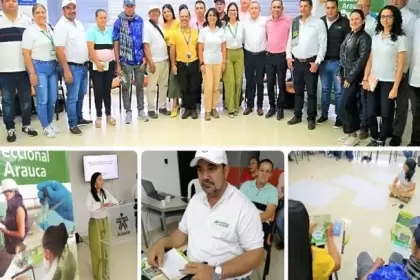 El ICA define estrategias para proteger la producción de plátano en Arauca y prevenir la entrada delv