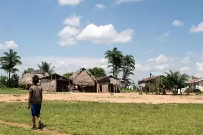Negligencia estatal amenaza a comunidades indígenas Jiw y Sikuani en Colombia