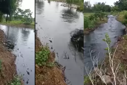 Pobladores de la zona rural de Saravena preocupados por desastre ambiental ocasionado por atentado al oleoducto.