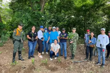 Corporinoquia lidera plantación de 350 arboles en Arauca para el Día Mundial del Medio Ambiente