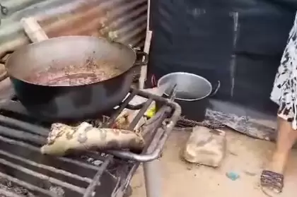 Niños de zonas inundadas de Arauca comen anaconda frita.