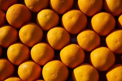 Procuraduría General de la Nación abre investigación disciplinaria en Arauca por contrato de producción masiva de naranja.