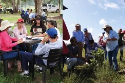 Realizan jornada de capacitación en gestión de agroecosistemas de marañón bajos en carbono en Puerto Carreño