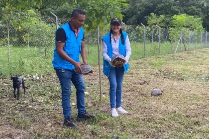 Únete a la misión de proteger la vida silvestre de Arauca con Corporinoquia