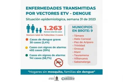 El 40% de los casos de dengue en Casanare afectan a menores de 15 años