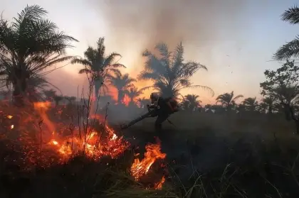 Devastadores Incendios Forestales Consumen Miles de Hectáreas en Maní, Casanare.