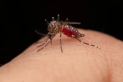 Incremento de casos de dengue en Arauca genera alerta en el sistema de salud