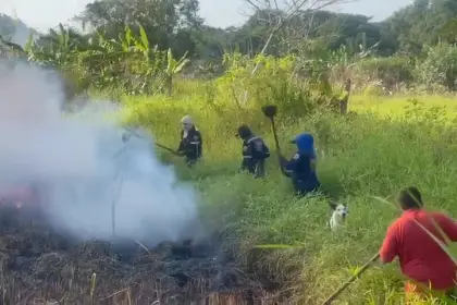 Alerta roja por incendios forestales en la jurisdicción de Corporinoquia