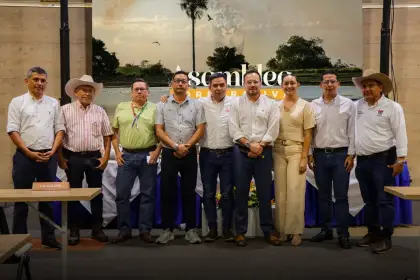 Representantes territoriales ante el Consejo Directivo de Corporinoquia.