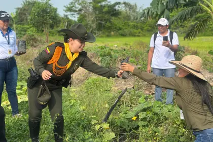 Más de 60 árboles fueron sembrados en jornada ambiental liderada por la Secretaría de Agricultura