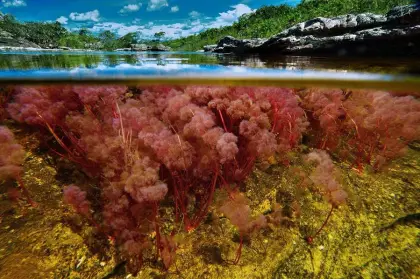 Naturaleza viva y compromiso ambiental en el corazón de Colombia.