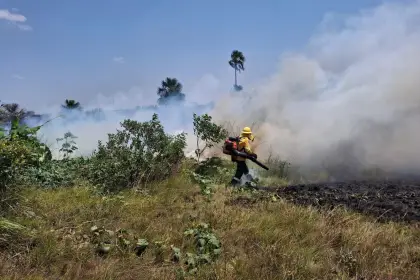 Alerta por altas temperaturas en el Meta, autoridades advierten mayor riesgo de incendios forestales