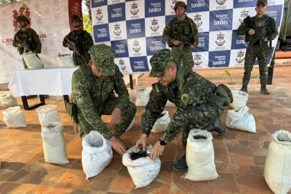 Incautan cinco toneladas de tierras raras en Vichada: golpe a economías ilegales en la frontera oriental