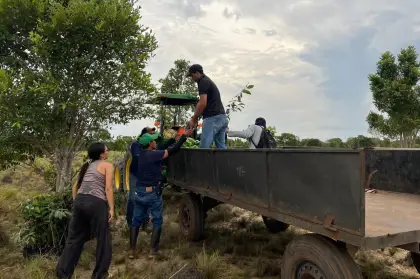 Con acciones como esta, Puerto Carreño reafirma su compromiso con la conservación del medio ambiente y el desarrollo sostenible.