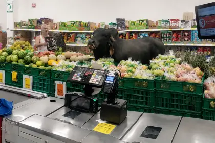 Ocurrió en un supermercado D1 en el Meta.
