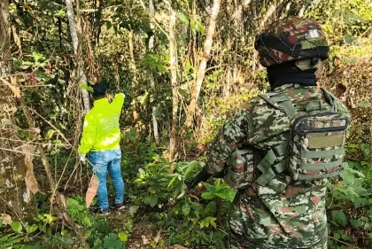 Operativo del Ejército Nacional