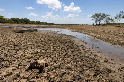 La amenaza de El Niño en la Orinoquía: La sabana frente al desafío del siglo