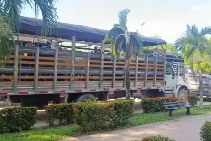 Recuperan más de 200 bovinos y capturan a 15 personasen Puerto Rondón, Arauca