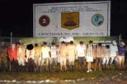 <p>Capturados en el laboratorio.</p>