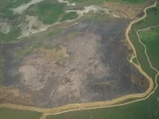 <p>Sectores destruidos por los incendios. Foto: Lig&iacute;a Pinz&oacute;n.</p>