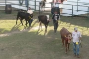 Con la presencia de expositores de todos los municipios del departamento de Arauca se realizó la Feria Agropecuaria en Arauca.