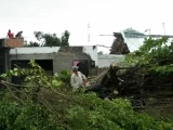 El vendaval que afecto al municipio de Arauca el domingo 11 de julio, dejo damnificadas a 65 familias que ha recibido ayuda de las autoridades del municipio.