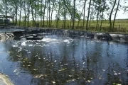 Esta el sitio donde llegan las aguas residuales del frigomatadero de Arauca. 