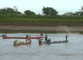 La subienda de peces por el río Arauca llego esta vez en enero y no como regalo de navidad como en los años anteriores.
