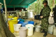 <p><em>El cristalizadero contaba con varias estructuras adecuadas para la producci&oacute;n de cocaina.</em></p>