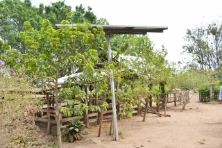 Habitantes de una remota vivienda en el municipio de Cravo Norte, se beneficiarán  del primer prototipo de sistema solar fotovoltaico implementado por Enelar E.S.P