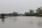 Las autoridades de Arauquita presumen que la sedimentación del río Caranal y el vertimiento de los caños Cusay y Tigre han generado las inundaciones en las sabanas de este municipio araucano.