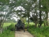 Cerca al centro poblado de floramarillo, en el municipio de Tame, la guerrilla de las farc con una vivienda acondicionada con explosivos atacó al Ejército Nacional, con un saldo de 13 militares muertos.