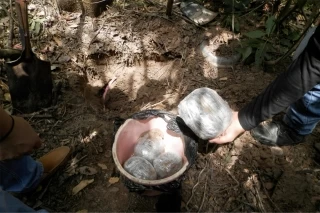 Cuatro mil cuatrocientas dosis de cocaína incautaron las autoridades en el barrio Los Fundadores de Arauca.