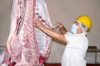 Controles para combatir el contrabando de carne en la frontera de Arauca, han permitido que el Frigomatadero de Arauca aumente los sacrificios de bovinos.
