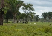 Autoridades realizan levantamiento de cadáveres de soldados muertos por la guerrilla el sábado en Caranal, municipio de Fortul en Arauca. 