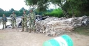 <p>Pieles incautadas por la Infanter&iacute;a de Marina.</p>