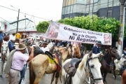 Ganaderos de Arauca están pidiendo al Gobierno Nacional la eliminación o cambio del sistema de identificación que le colocan al ganado, conocido como la chapeta.