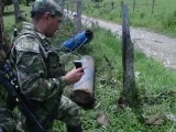 El Ejército desactivo cuatro ramplas en los municipios de Cubará en Boyacá y Fortul en Arauca.