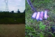 Veinte kilos de explosivos habían sido colocados en la base de la torre 437 de ISA, por el grupo armado ilegal de las Farc para activarlos por el sistema de telemando, fueron desactivado por el Ejército Nacional de Colombia.