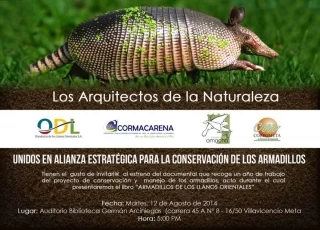 Presentan  la primera edición del libro “ARMADILLOS DE LOS LLANOS ORIENTALES”.
