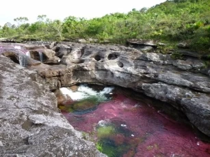 Para preservar su flora Caño Cristales se cerrará al público desde el 15 de Diciembre de 2014 hasta el 14 de junio de 2015.