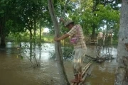 Más de 600 familias afectadas, destrucción de cultivos y averías en la red terciaría deja la ola invernal en el departamento de Casanare.