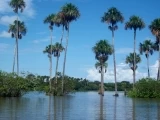 Un territorio de más de 10 mil hectáreas de tierra de la vereda El Porvenir de Guachiría en el municipio de Trinidad, en Casanare, fue registrada como reserva natural en Parque Nacionales.