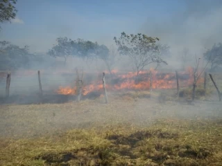Durante el años 2014 se han quemado más de 800 hectáreas producto de 140 incendios forestales en Yopal, las autoridades de la localidad piden a la ciudadanía que se concienticen en cuidar el medio ambiente y provoquen estas conflagraciones.