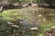 Funcionarios de Corporinoquia fueron hasta el caño Palo Blanco de la vereda La Coralia para recoger pruebas que permitan determinar muerte de centenares de peces en ese lugar. 