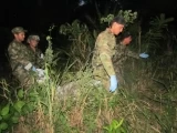 Tres guerrilleros muertos y otro herido fue el resultado de combates en el área rural del municipio de Hato Corozal, Casanare.