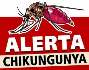 El primer caso de Chikungunya en Casanare, proveniente del municipio de Villanueva.